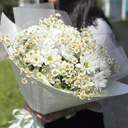   SUNNY FLORA Цветы