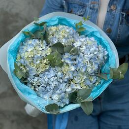 База Цветов Цена Одна