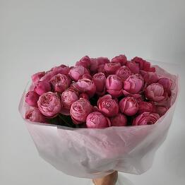 Bloom flowers