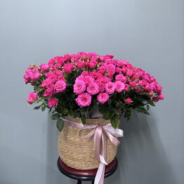 Flora Decor
