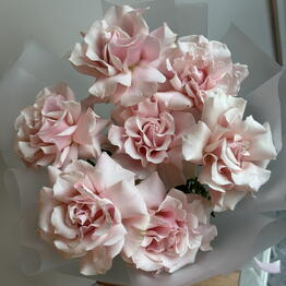 SENO FLOWERS
