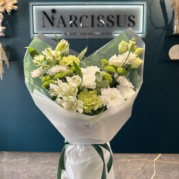 NARCISSUS