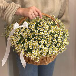 Flower story