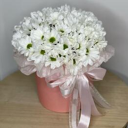 Каталина