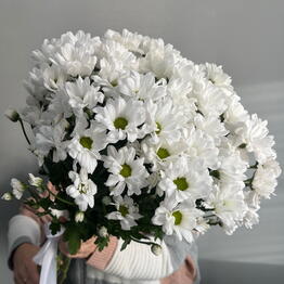 Макс_Фаро flowers