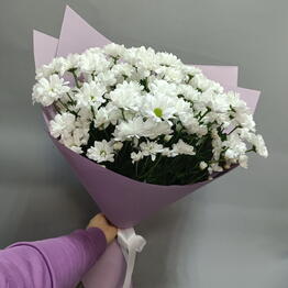 Maksi Flora