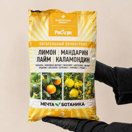 Грани Цветов