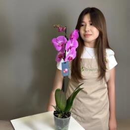 Versal’ flowers