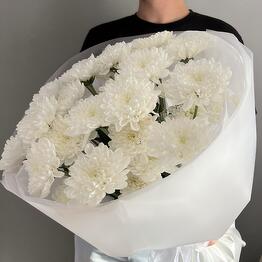 LOVI BUKET