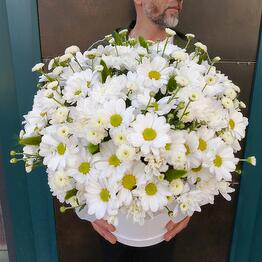 Bloomville