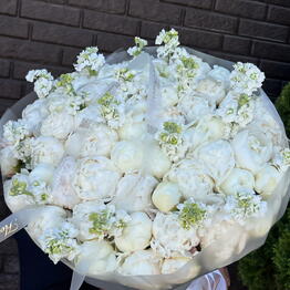 Asia flowers