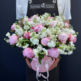 Flowerstoday