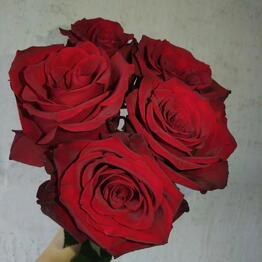 Loveflowerswow