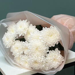 Flowers Story