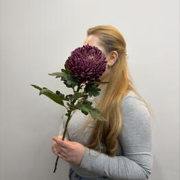 CVETY MANIT flowers shop