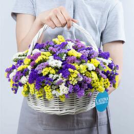Latona Flowers & Gifts
