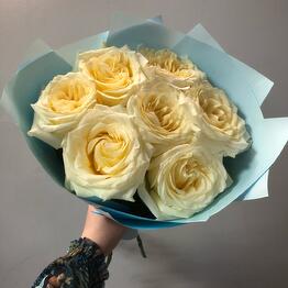 Fiore Lily spb