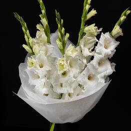 Malli Botanicals