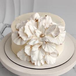 Tortodel_cake_spb