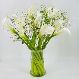 Шарик Люкс 
