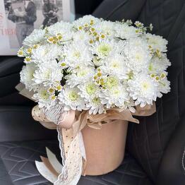 Garmoniya flowers 