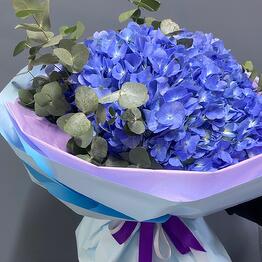 Aiva flowers
