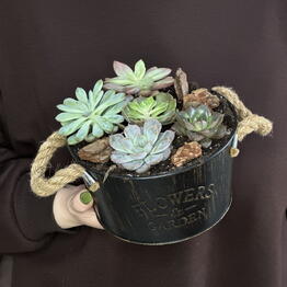 Fenomen Flowers