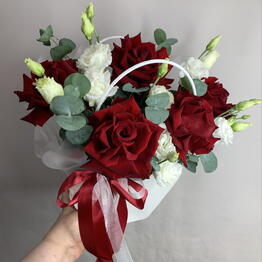 Brassica 