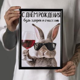 Vozdushnye shary SPb i LO