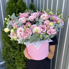 Royal Flora