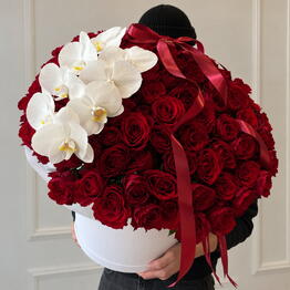 Why Not Flowers