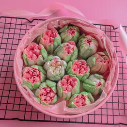 serp.cakes