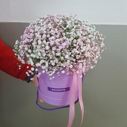 Цветочный дискаунтер Rosekms