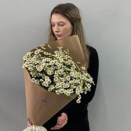 Kseni Flowers