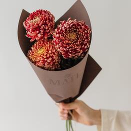 MATE flowers  