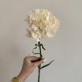 TIFFANY FLOWERS