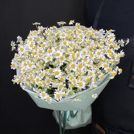 Lina Flowers