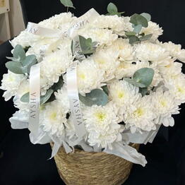 Aysha Floral