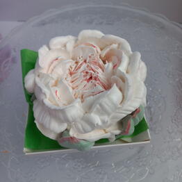 Tort i zefir