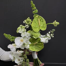 Flowers titan