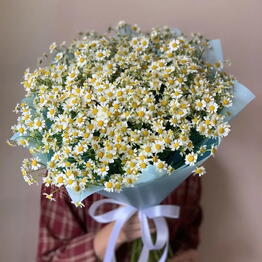 magazinflowers