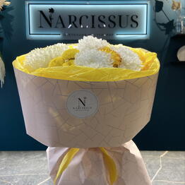 NARCISSUS
