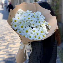Fiona Flowers