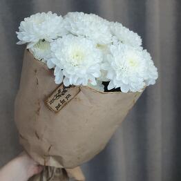 Mon_buket