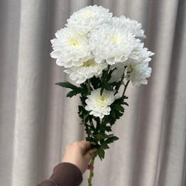 Флорист