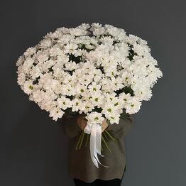 Arma Flowers