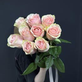 COSMO FLOWERS