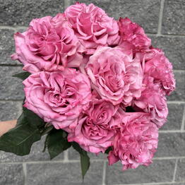 Volkova flowers