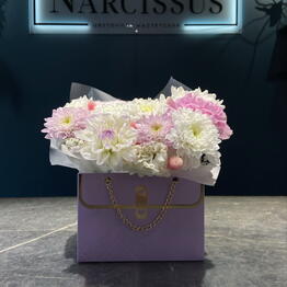 NARCISSUS