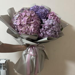 Lilac Flowers